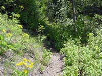 Montanas-Flathead-Lake0590