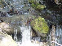 Montanas-Flathead-Lake0592