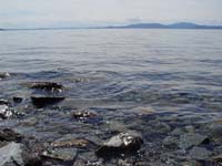 Montanas-Flathead-Lake0595