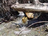 Montanas-Flathead-Lake0597