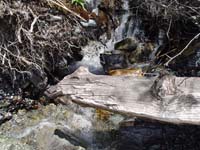 Montanas-Flathead-Lake0598