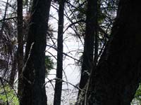 Montanas-Flathead-Lake0599