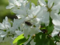 Montanas-Flathead-Lake0601