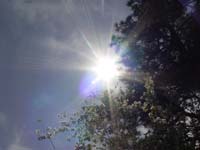 Montanas-Flathead-Lake0602