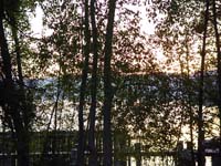 Montanas-Flathead-Lake0621