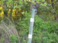 Montanas-Flathead-Lake0631