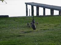 Montanas-Flathead-Lake0636