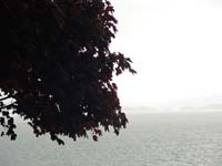 Montanas-Flathead-Lake0639