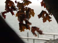 Montanas-Flathead-Lake0642