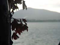Montanas-Flathead-Lake0649