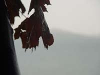 Montanas-Flathead-Lake0650