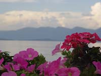 Montanas-Flathead-Lake0656