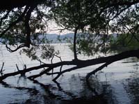 Montanas-Flathead-Lake0677