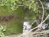 Montanas-Flathead-Lake0678