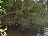 Montanas-Flathead-Lake0679