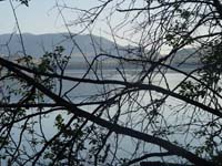 Montanas-Flathead-Lake0684