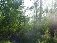 Montanas-Flathead-Lake0685