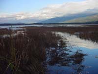 Montanas-Flathead-Lake0688