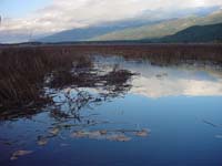 Montanas-Flathead-Lake0689