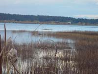 Montanas-Flathead-Lake0692