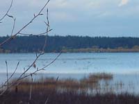 Montanas-Flathead-Lake0693