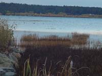 Montanas-Flathead-Lake0694