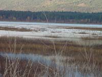 Montanas-Flathead-Lake0695