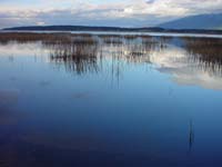 Montanas-Flathead-Lake0701