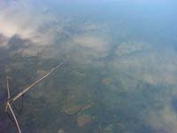 Montanas-Flathead-Lake0702