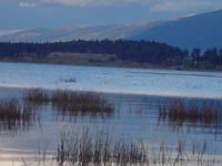 Montanas-Flathead-Lake0703