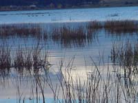 Montanas-Flathead-Lake0704