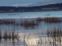 Montanas-Flathead-Lake0705