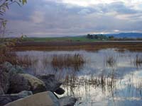 Montanas-Flathead-Lake0706