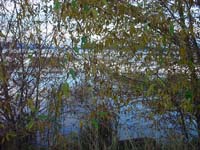 Montanas-Flathead-Lake0709