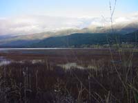 Montanas-Flathead-Lake0715