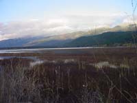 Montanas-Flathead-Lake0716