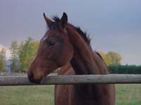 Montanas-Flathead-Lake0719