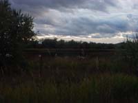 Montanas-Flathead-Lake0759