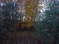 Montanas-Flathead-Lake0761