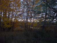 Montanas-Flathead-Lake0762