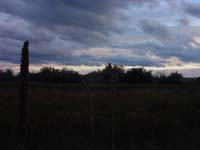 Montanas-Flathead-Lake0764