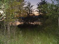 Montanas-Flathead-Lake0776