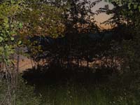 Montanas-Flathead-Lake0779