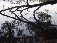 Montanas-Flathead-Lake0812