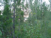 Montanas-Flathead-Lake0828