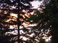 Montanas-Flathead-Lake0857