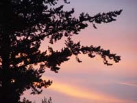 Montanas-Flathead-Lake0859