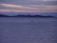 Montanas-Flathead-Lake0879