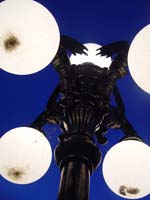 Montanas-Flathead-Lake0880