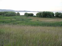 Montanas-Flathead-Lake0889